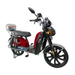 Bilin King, Golden Ox Head Lamp, Front and Rear Oil Dishes, Rear Electroplated Dual Reduction, Metal Trunk, Fully Equipped Ambient Lighting